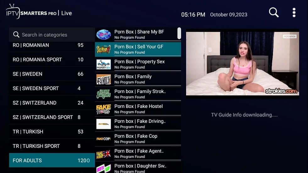 porn iptv catalogue 2026 — 8,000 porn iptv channels grid editorial cover